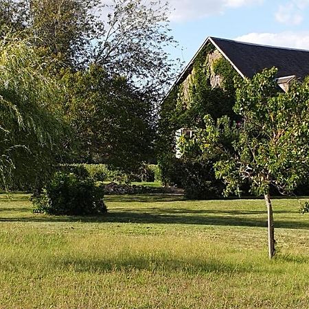 Gite Le Campagnard Saint-Germain-Des-Bois  المظهر الخارجي الصورة
